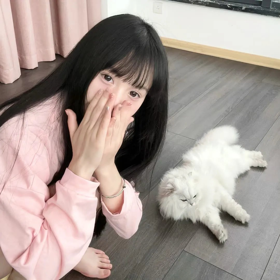 星星守护犬